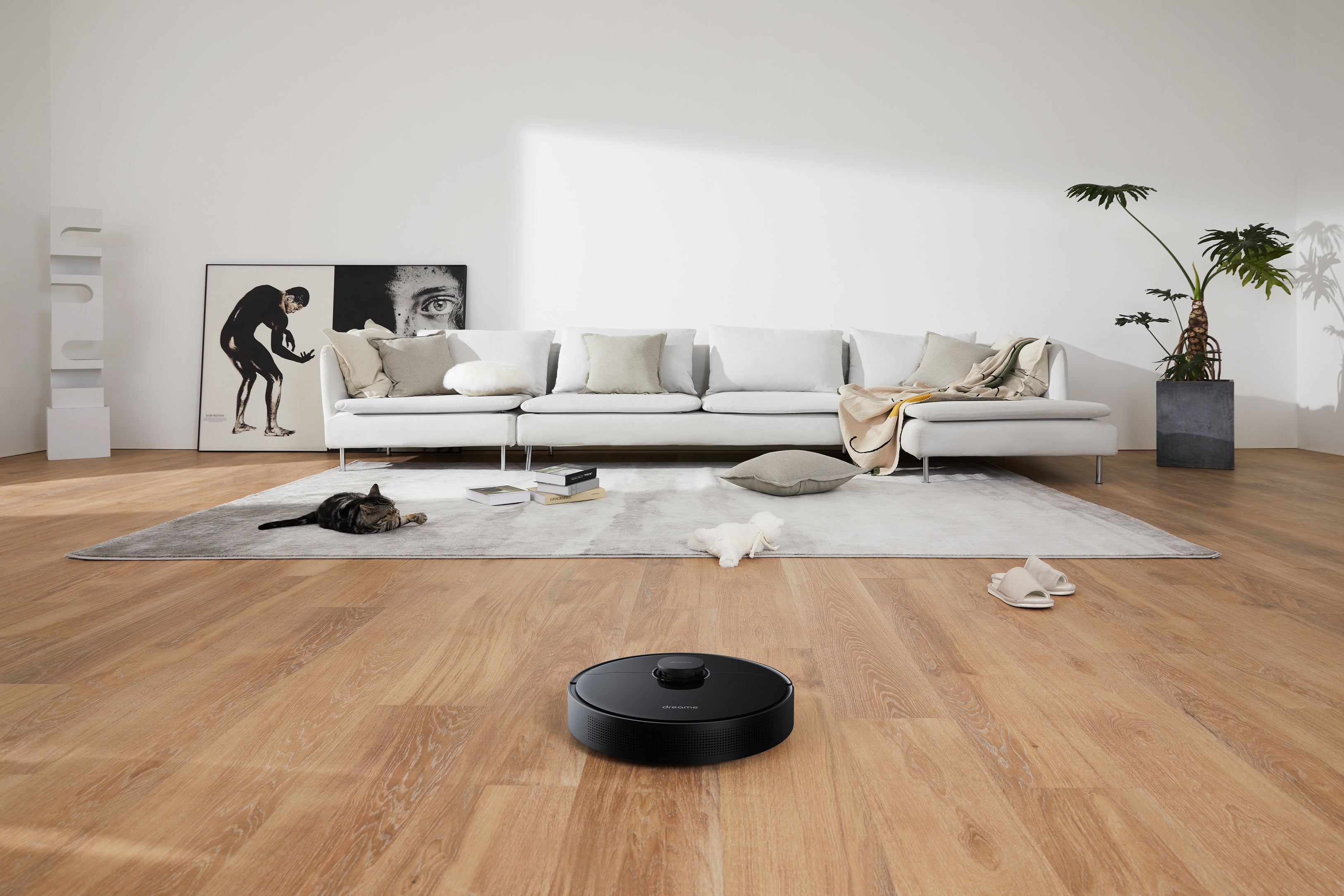 Are Robot Vacuums Worth it? The Verdict Dreame Technology Australia