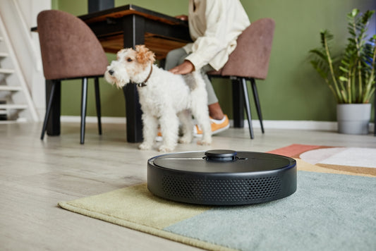 Why a robot vacuum is a Dreame come true
