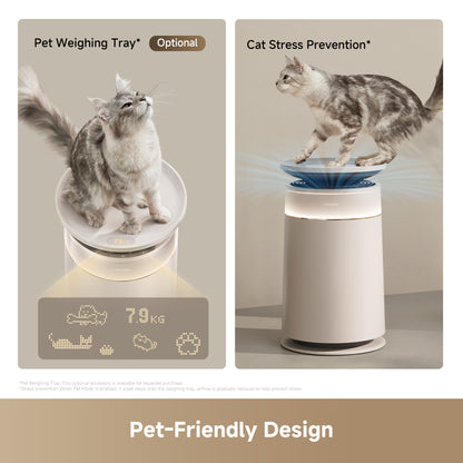 Dreame Air Purifier FP10