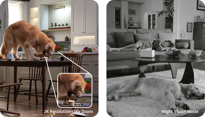 1080P Full HD + 3MP & Night Vision