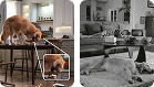 1080P Full HD + 3MP & Night Vision