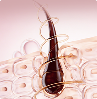 From Scalp to Ends Care