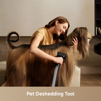 Dreame Z50 Station Stick Vacuum and Dock